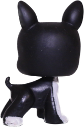 #0063 Boston Terrier